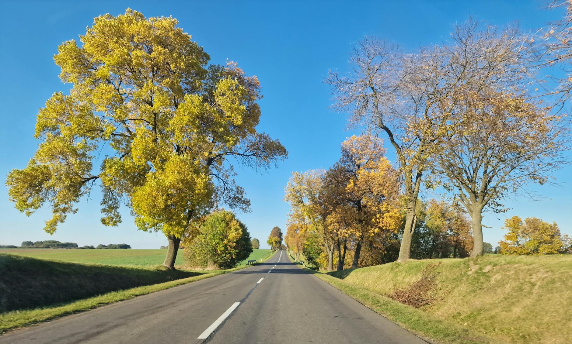 Nowe oferty pracy w powiecie ostródzkim - nagroda dla ambitnych kandydatów na rynku pracy